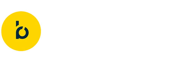 Bloomreach partner